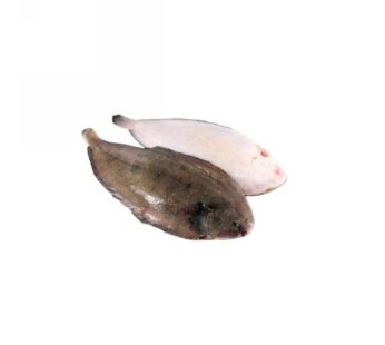 SOGLIOLE MEDIE   10 PZ/KG
