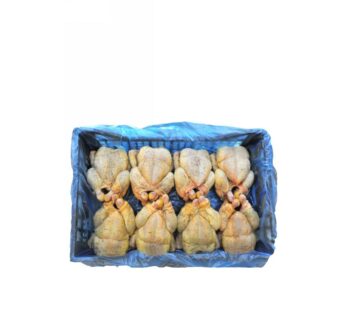 BUSTO POLLO AROM. X 1100 SF FR