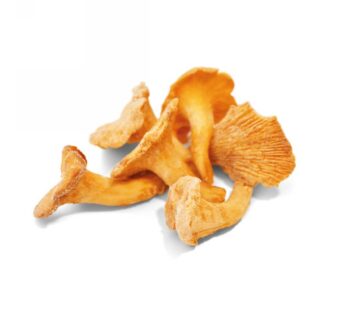 FUNGHI FINFERLI