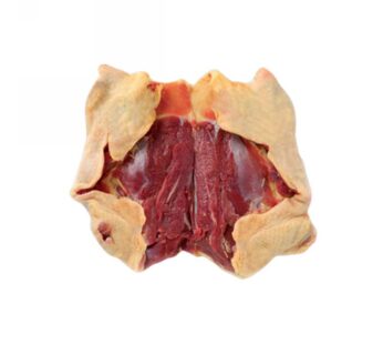ANATRA DISOSSATA C/PELLE