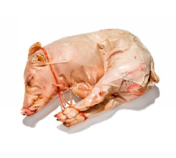 PORCHET.CRUDA C/O INTERA 10/12  MAIALINO
