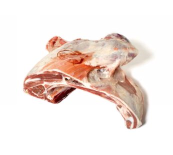 SPALLA ANTERIORE                 AGNELLO