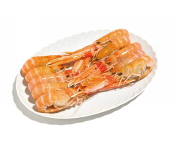 SCAMPI INTERI  8/12 PZ/KG             DK
