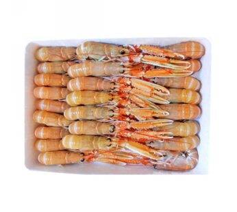 SCAMPI INTERI 21/30 PZ/KG BORDO LABADIE