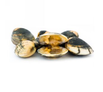 VONGOLE C/G ADRIATICO