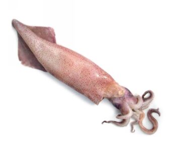 CALAMARI SPORCHI 200/500 GR
