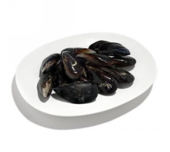 COZZE C/G ITALIA REIMMERSE OLBIA