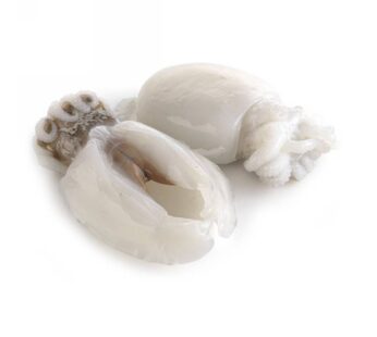SEPPIE ATLANTICHE  500/1000 GR