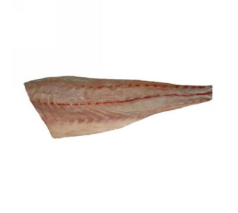 FILETTI OMBRINA    1200/2000 GRECIA