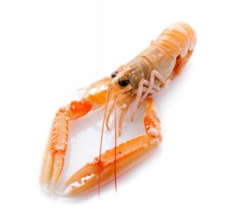 SCAMPI INTERI 20/30 PZ/KG