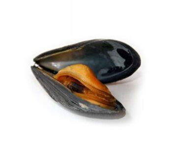 COZZE C/G ITALIA