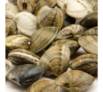 VONGOLE/LUPINI C/GUSCIO