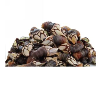 PIEDI DI CORNUCOPIA (PERCEBES)FRANCIA