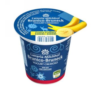 YOGURT INTERO BANANA