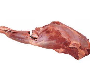 + CINGHIALE SPALLA C/O 1330059