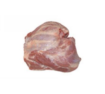 + CINGHIALE SPALLA S/O C/MUSCOLO 1331059