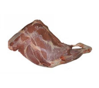 + CINGHIALE COSCE C/O 1310059