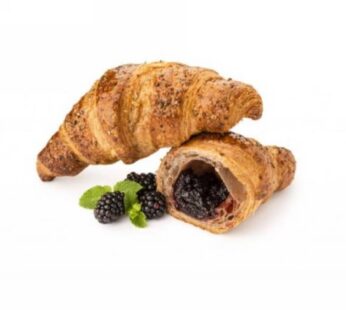 CORNETTO VEGANO MORA E SAMBUCO 85G 45PZ