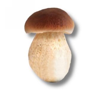 PORCINI INTERI EXTRA T.B.1X2,5KG-4223