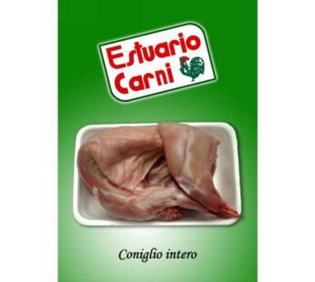 CONIGLIO CF FR