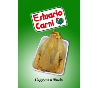 BUSTO CAPPONE CF FR