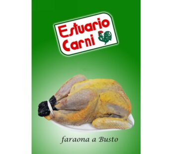 BUSTO FARAONA CF FR