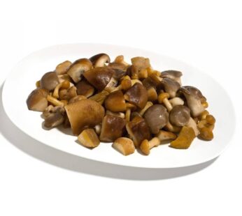 FUNGHI MISTI