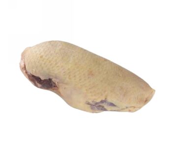 PETTO D’ANATRA FEMMINA BARBARIE 200-240