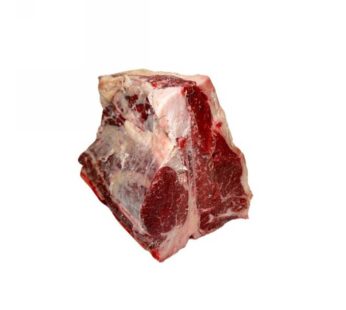 T/BONE DK   TRONCHETTO  FIORENTINA SCOTT