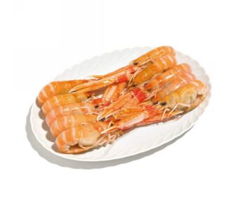 SCAMPO  8/12PZ/KG LAESO               DK