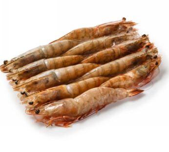 MAZZANCOLLA  U/10 PZ/KG          ECUADOR