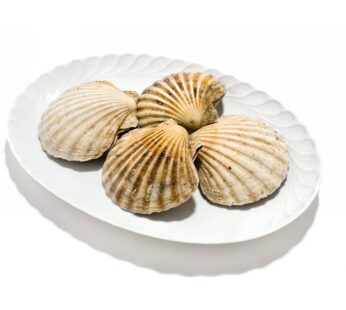 CAPPASANTA   INTERA 6/8PZ/KG       C/COR