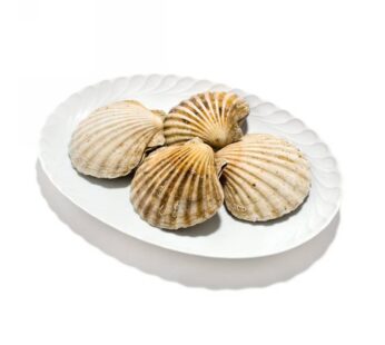 CAPPASANTA   INTERA 5/7PZ/KG       C/COR