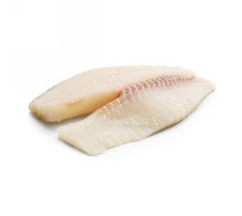 FILETTO TILAPIA         S/P   100/140 GR