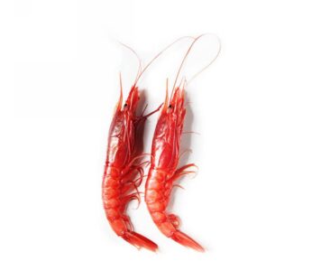 GAMBERO ROSSO SICILIA     I   20/25PZ/KG