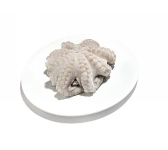 POLPO T6  800/1300 GR    PREMIUM MAROCCO