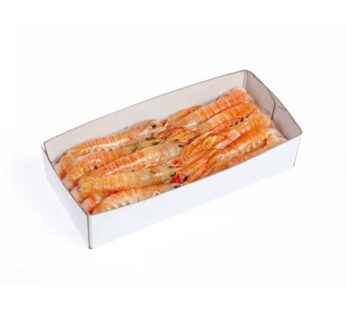 SCAMPO 17/20PZ/KG                     DK