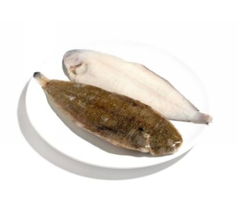 SOGLIOLA DOVER N 3 NL