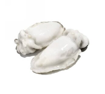 SEPPIA PULITA  8/12PZ/KG