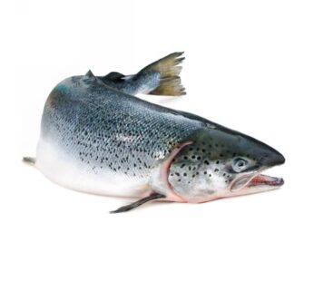 SALMONI 4/5 SCOZIA