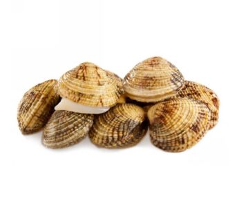 TARTUFI DI MARE