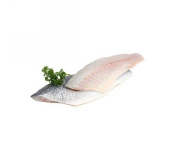 FILETTI BRANZINO    80/100  TURCHIA