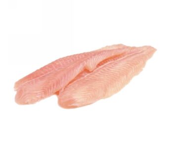 FILETTI PLATESSA XL