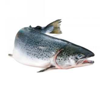 SALMONI 6/7 NORVEGIA  CASSA