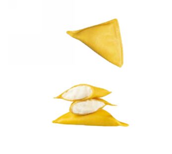 TRIANGOLETTI AL PARMIGIANO REGGIANO D.C.