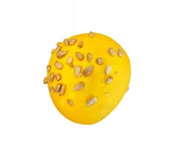 PANE HAMBURGER BUN ALLA CURCUMA    90 GR