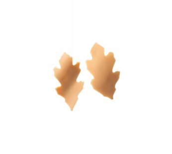 AGRIFOGLIO FOGLIE RICURVE CHOC