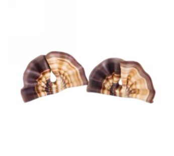 VENTAGLI CHOC MARMORIZZATI