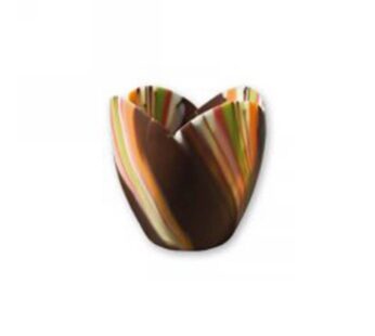 TULIPANI CHOC AFRODITE