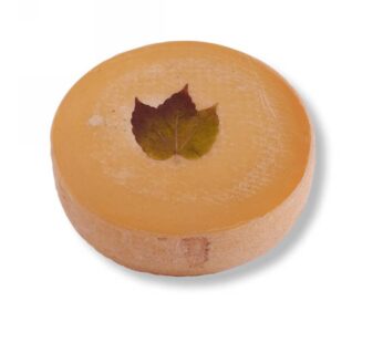 FORMAGGIO PERBACCO AL TRAMINER A QUARTI